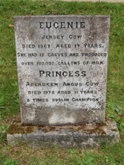 A Head Stone For Two Cows; Eugenie, A Jersey Cow Who Had Seventeen Calves And Produced