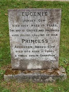 A head stone for two cows; Eugenie, a Jersey cow who had seventeen calves and produced over 100,000 gallons of milk. Then there’s Princess, an Aberdeen Angus cow who was the Dublin Champion three times