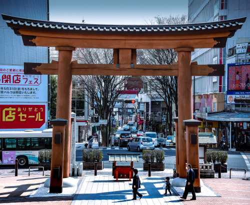 Love a good torii.  This belter sits near the foot of (too many) steps that lead up to Futaarayama S