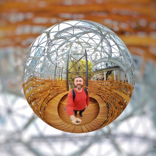 Inside the Amazon Spheres in what I call “the birds nest.” Pretty sure I’m not first to call it that