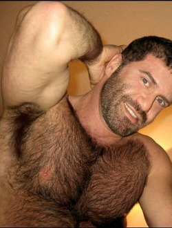 Only Hairy Men