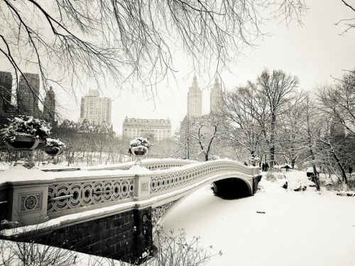 macpatrice: New York Winter - Central Park Snow at Bow Bridge by Vivienne Gucwa on Flickr.It’s