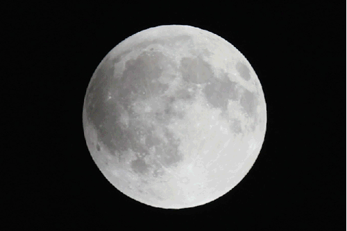laughingsquid:  ‘Blood Moon’ Lunar Eclipse Distilled into a Nine-Second Animated GIF 