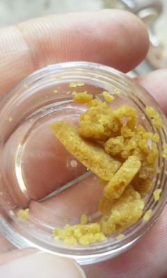 theprettylittlestoner:  Crumble make you