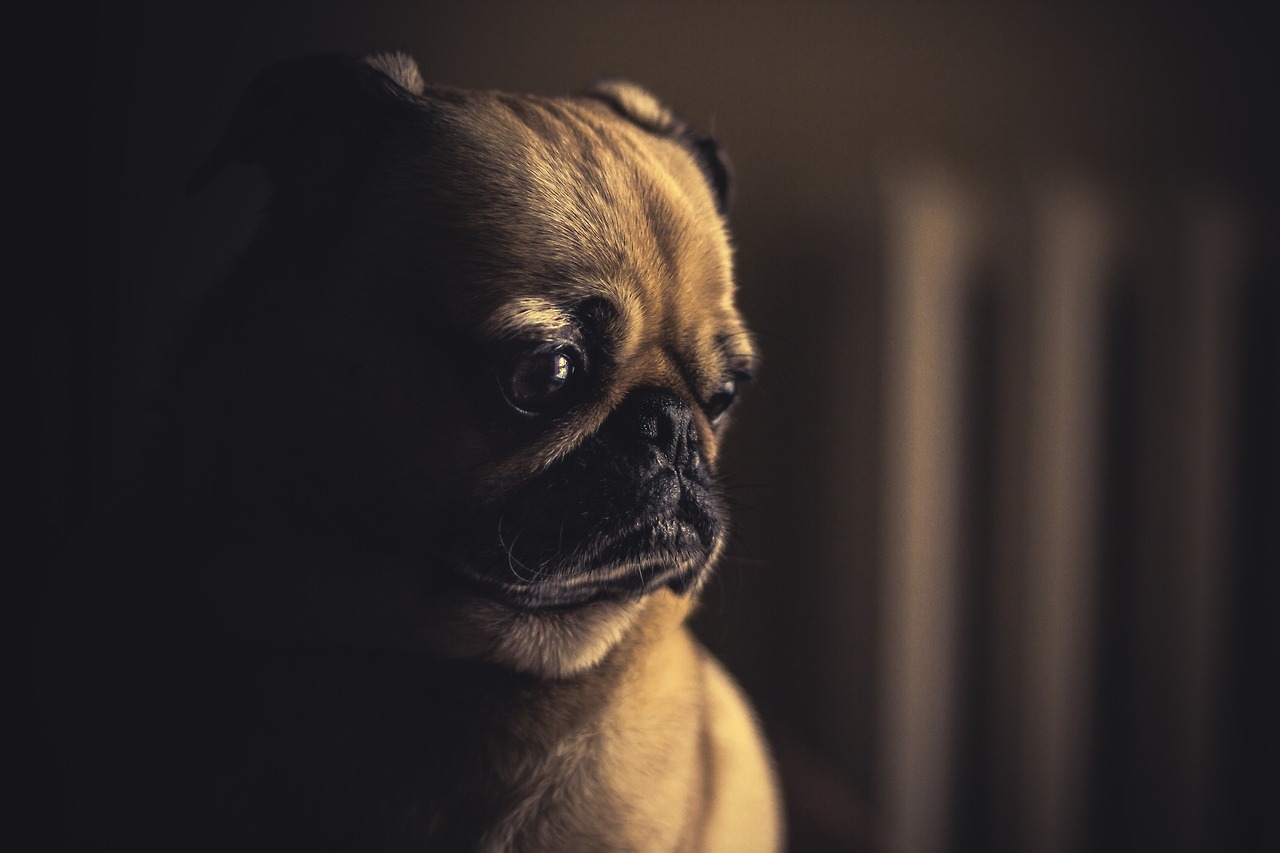 regular-love:    “Why is life so hard?’’  