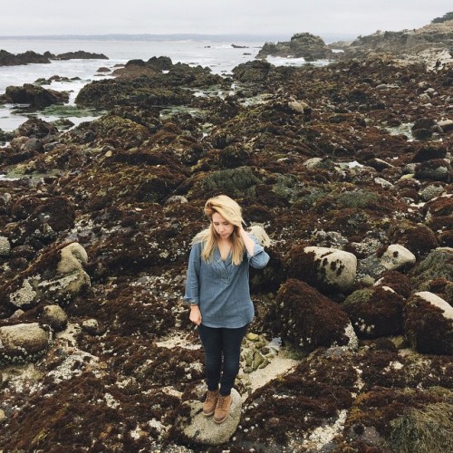 Explored the tide pools in Monterey yesterday morning on our way back to SF. These little worlds poo