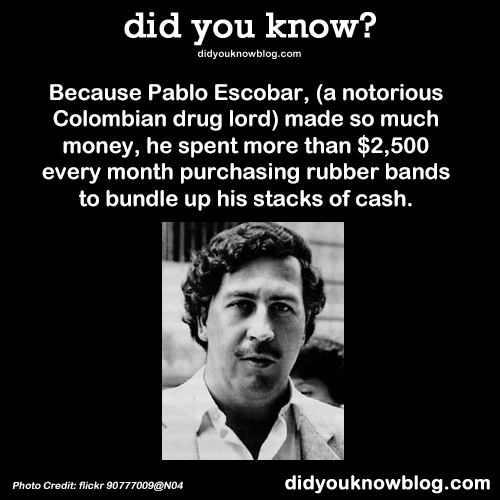 did-you-kno:
“Because Pablo Escobar, (a notorious Colombian drug lord) made so much money, he spent more than $2,500 every month purchasing rubber bands to bundle up his stacks of cash.
Source
”