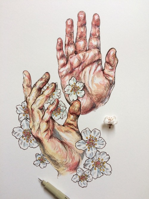 noelbadgespugh:blossom hands
