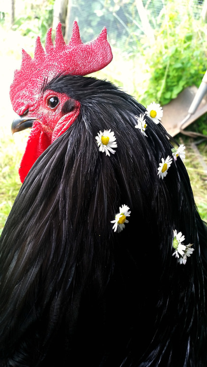 A peaceful boy among flowers 