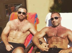 Hairy on Holiday