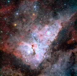 just–space:  Trumpler 14 embeded in the Carina Nebula - NGC 3372  js