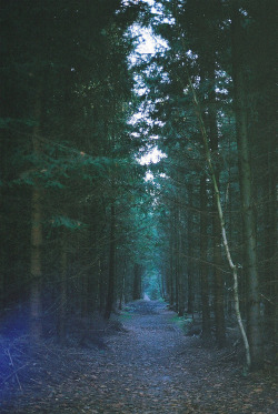 wild-nirvana:  ॐ My Spiritual World☽ 