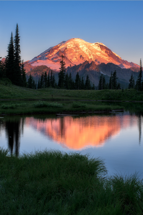 sundxwn:  Tipsoo Sunriseby Michael Brandt