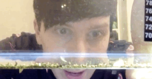 Looks like albert is albertina?liveshow moments
