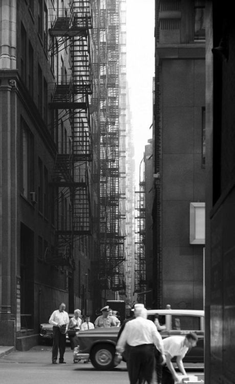 teconozcomascarita: Chicago Alleys. Balthazar Korab, 1959
