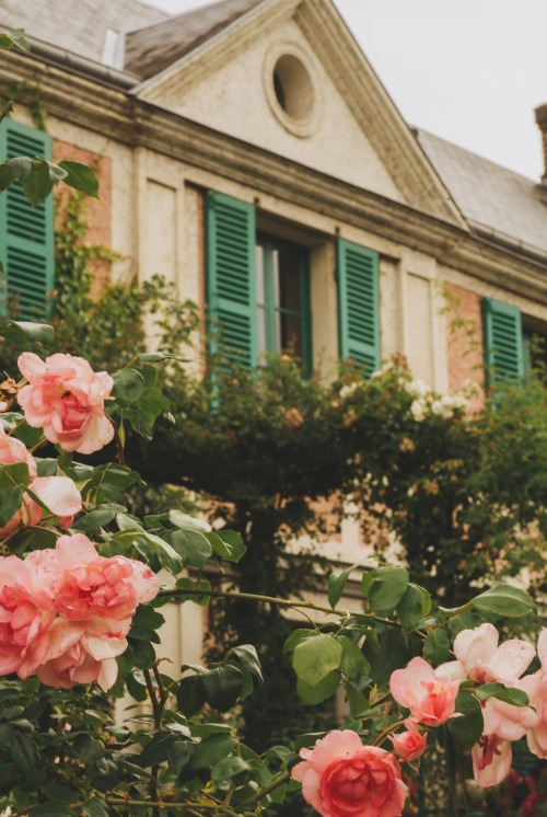 speir-s: Monet’s Garden in Giverny, France by Jamie Beck