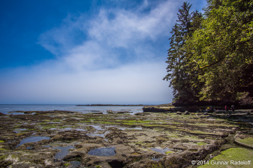 7.7.2014 - day 5 on the West Coast Trail - this trail is $^%@ing awesome!#BC #Canada #VancouverIslan