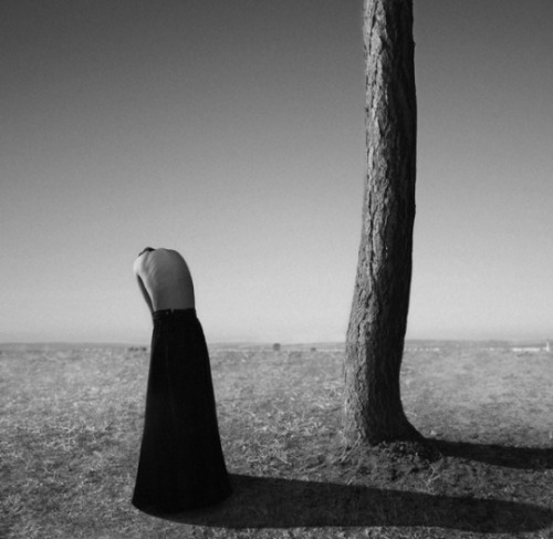 misswallflower:Photography by Noell Oszvald