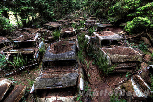 bobbycaputo:Spectacular 70-Year-Old Traffic Jam In A Belgian ForestPhotographed by Rosanne de Lange,
