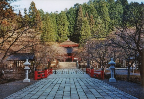 Koya-San, Japan. 2015.