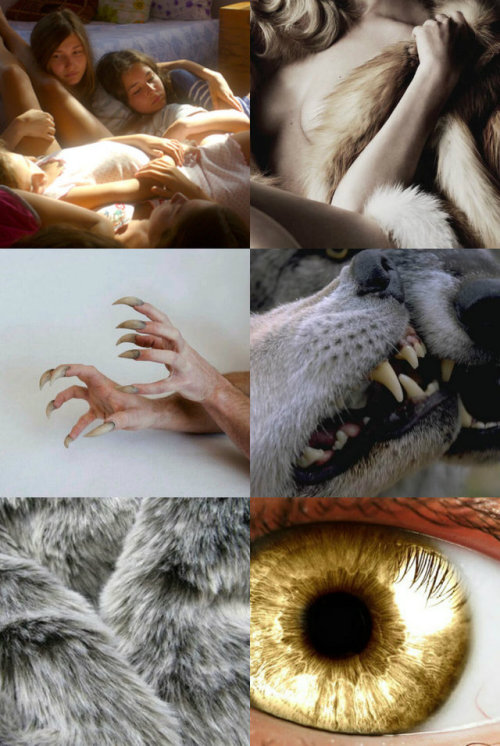 unholy-masquerade: mythology aesthetics: WerewolvesA werewolf is a human with the ability to shapesh