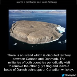 mindblowingfactz:    There is an island which is disputed territory between Canada and Denmark. The militaries of both countries periodically visit to remove the other guy’s flag and leave a bottle of Danish schnapps or Canadian whiskey.  (source)