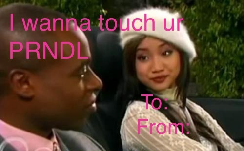 stfusara: happy valentines day, i wanna touch ur prndl