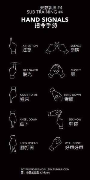 boobsbraidsandbruises:  ƪ(˘⌣˘)ʃ Compiled KINKY INFOGRAPHICS!  Hope these will be useful for the curious. 😘 