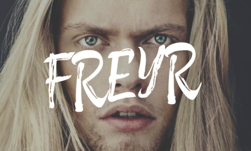 freyr |  skirnismol, st. 4