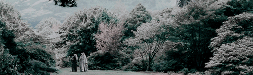 wesninskey:Middle-Earth meme: movies [1/6]The Lord of the Rings: The Fellowship of the Ring (2001)