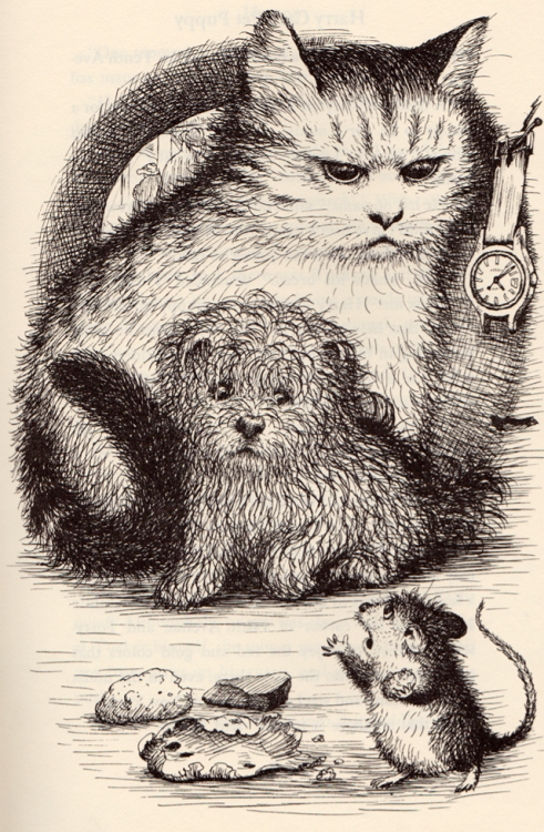 Harry Cat’s Pet Puppy by George Selden, illustrated by Garth Williams (1974).