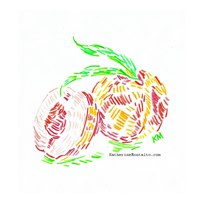 color pencil on paper. illustration of a peach