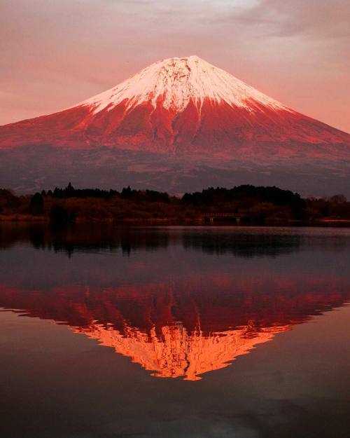 s-ousha:   by shiniya  