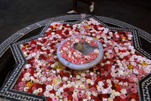 fotojournalismus:Fez, 1994.Photographs by Bruno Barbey