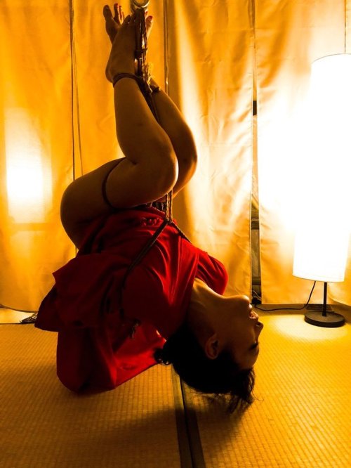 justscreenshots:Kinbaku & Photo Ren YagamiModel Hana Kanno