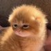 his-shining-tears: Monday morning mood. 