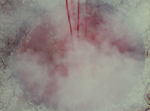365filmsbyauroranocte:Sayat Nova (a.k.a. The Color of Pomegranates) (Sergei Parajanov, 1969)