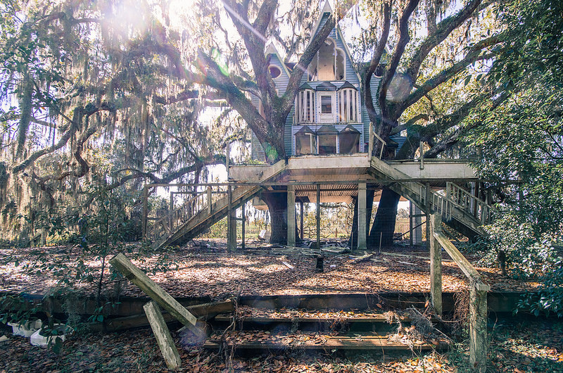 destroyed-and-abandoned:  Big Ass Treehouse in Brooksville, Florida Source: FLHistory
