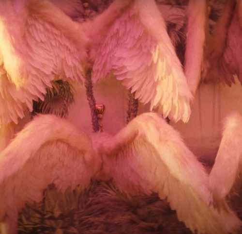 CUPID AND HIS ANGEL ( L. Know )