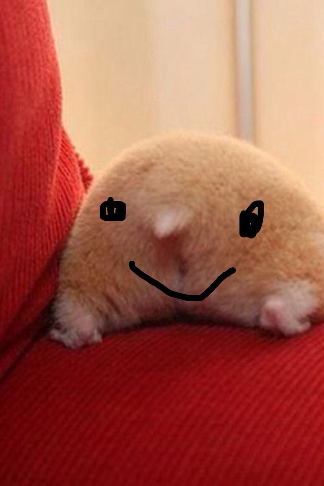 antisjwqueen:  jrne:modern art Rabbit did it better 