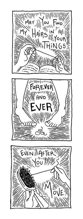 thismighthurt:  A Curse On My Exes
