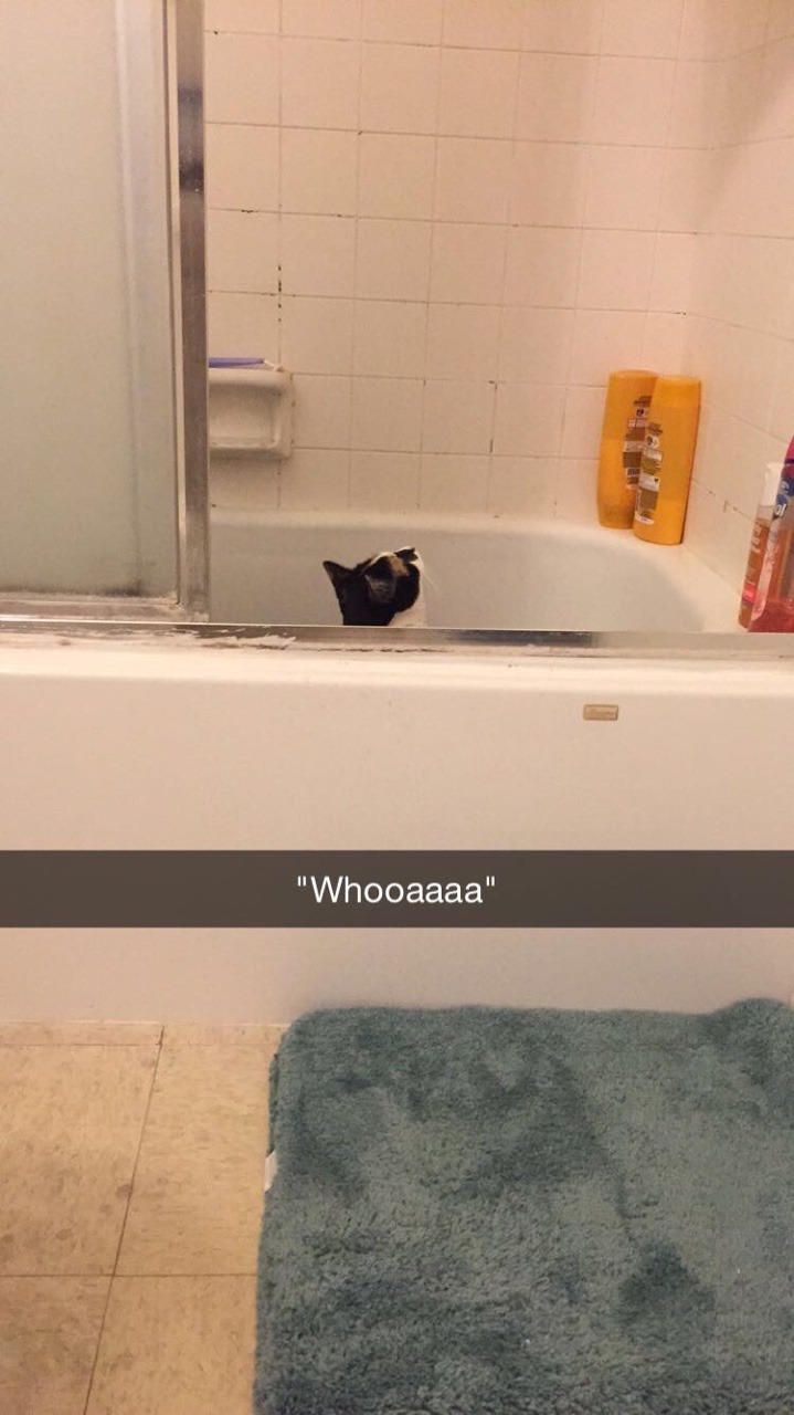 sociologyandlifting:  A day in the life of Clover