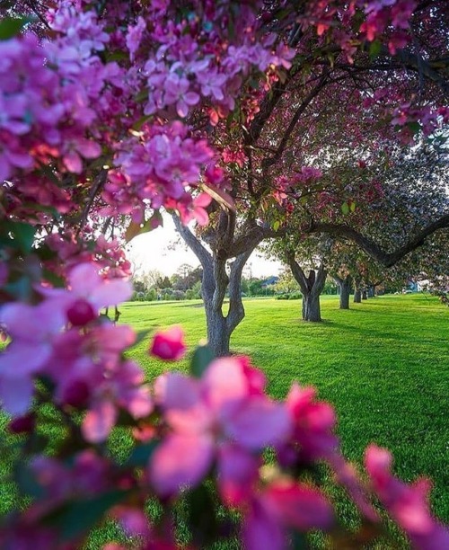 ._________(✿◠‿◠)________ . . . . #natureza #planodefundo #paisagem #imagenslindas #deuscriou #tudoel