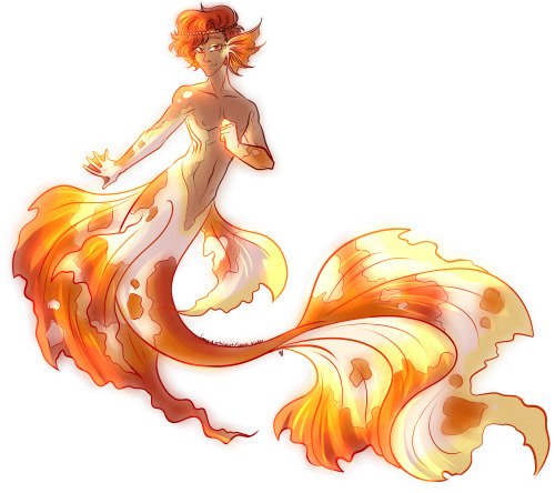 Roman as he appears in A Pirate’s Tail! He’s basically a veiltail goldfish merman! <3 Please open