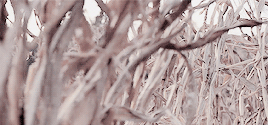 odairannies: no “buts”. i promised i’d keep you shitheads safe, and that’s e