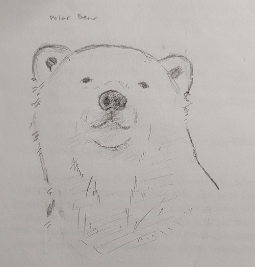 I Was Gonna Draw More... But The Other One Sucked.... Frowny Face