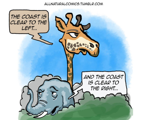 allnaturalcomics:“By Leonard’s tusk, you shall be avenged!”