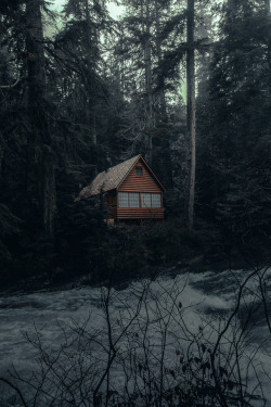 ramirezerick:  Cabin in the Woods by Erick
