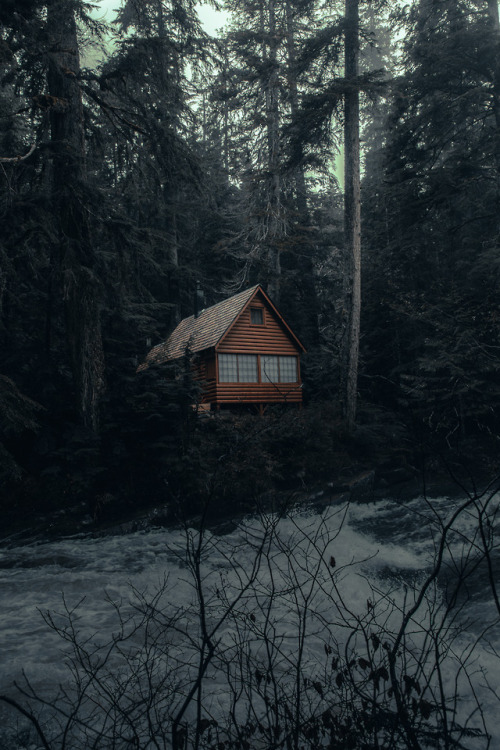 Cabin in the Woods by Erick Ramirez Photography. For more of my work: instagram.com/r4s & erickr