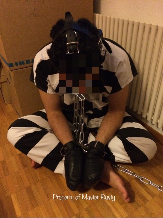 711-197-164: Another kinky weekend with my beloved Bolt. Put him in a bondage bag